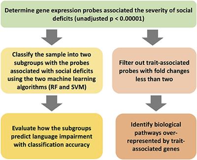 Identifying Subgroups of Patients With Autism by Gene Expression Profiles Using Machine Learning Algorithms